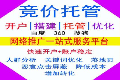 搜索引擎营销（SEM）的经典案例分析